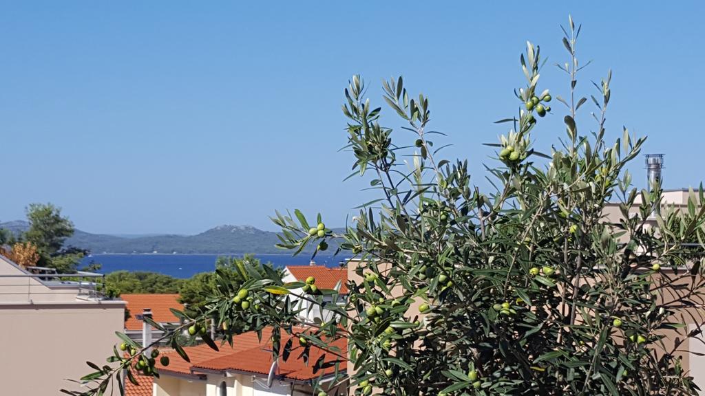 Apartment Garden Terrace Zadar Eksteriør billede